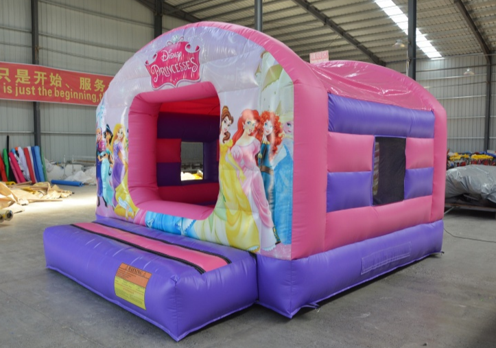 LDM-A2200 Princess small