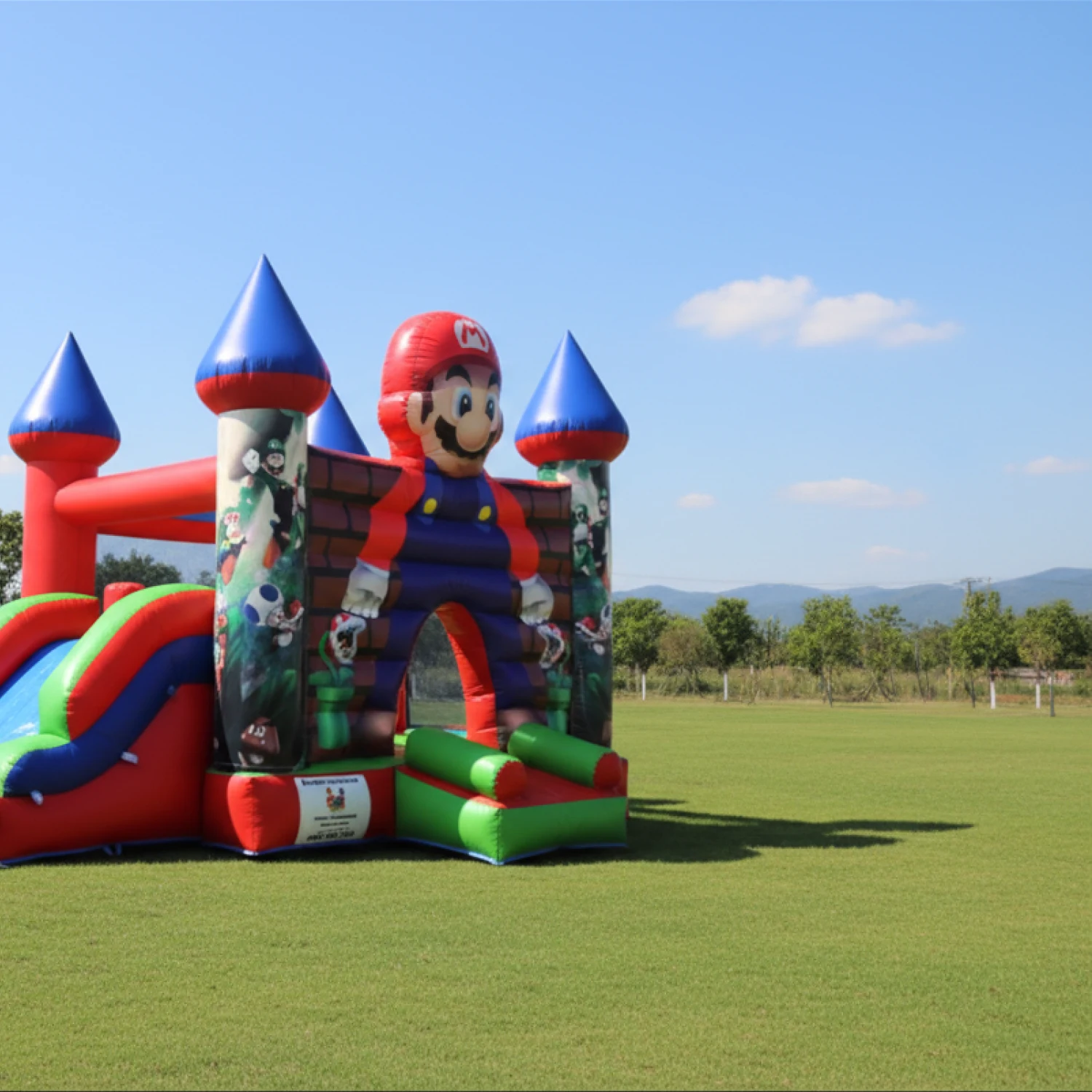 LDM-B4221 Mario med combo